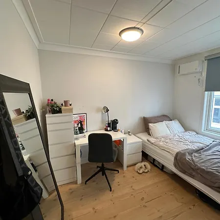 Sjarmerende Bolig Like Ved Togstasjonen Séjour chez l'habitant Bergen