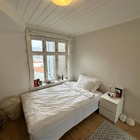 Sjarmerende Bolig Like Ved Togstasjonen * Bergen